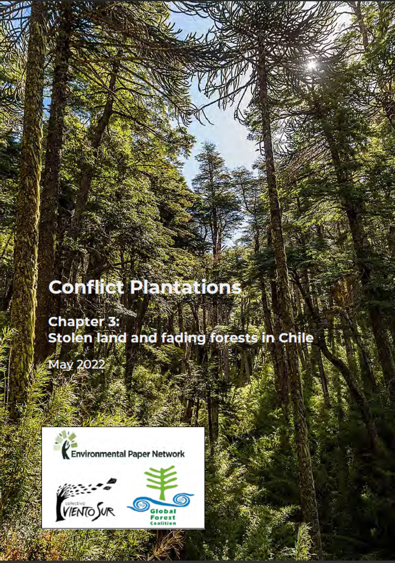 Conflict Plantations Chapter 3: Stolen land and fading forests in Chile